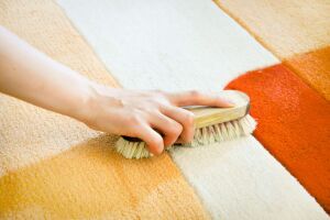 Чем и как почистить ковролин в домашних условиях? фото