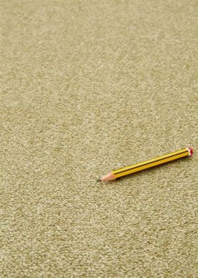 Ковролін AW Spinta 29  фото