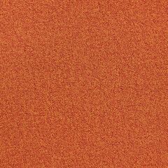 Ковролін AW Maxima 85  фото