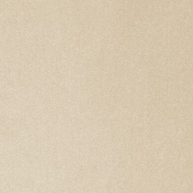 Ковролін AW Triton 33  фото