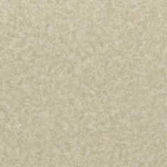 Линолеум LG Hausys Duгаblе DU 99902  фото