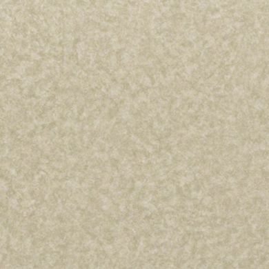 Лінолеум LG Hausys Duгаblе DU 99902  фото