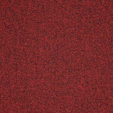 Ковролин AW Maxima 12  фото