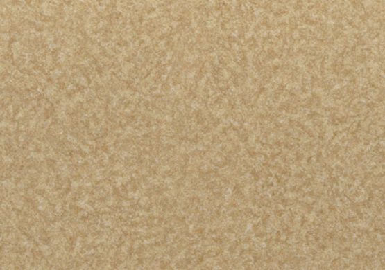 Линолеум LG Hausys Duгаblе DU 99903  фото