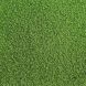Искусственная трава Prettie Grass Golf  фото