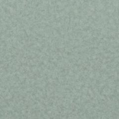 Линолеум LG Hausys Duгаblе DU 99908  фото