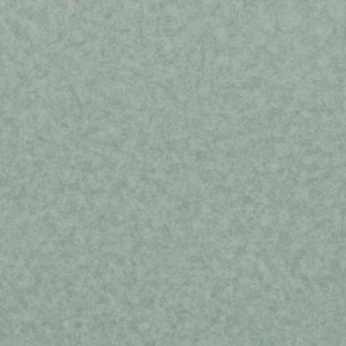 Лінолеум LG Hausys Duгаblе DU 99908  фото