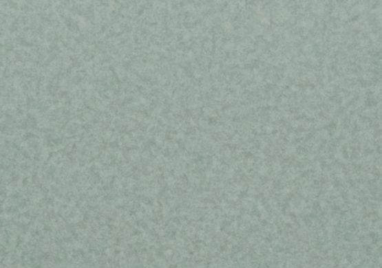 Лінолеум LG Hausys Duгаblе DU 99908  фото