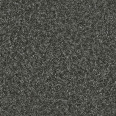 Лінолеум LG Hausys Duгаblе DU 99910  фото