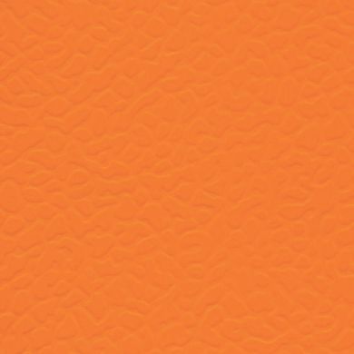 Линолеум LG Leisure Sport 6901  фото