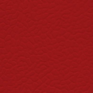 Линолеум LG Leisure Sport 6200  фото