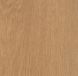 Вінілова плитка Forbo Allura Wood w60071 French oak (0,55 мм)  фото