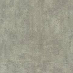 Линолеум Lentex Pioneer 604-03  фото