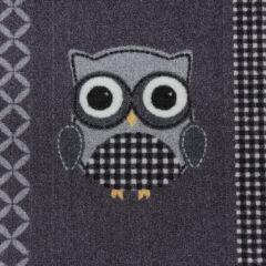 Грязезащитный коврик Chromofloor Owl 70