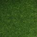 Искусственная трава Congrass SRI LANKA 25