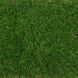 Искусственная трава Citygreen Sports Landgrass 20  фото